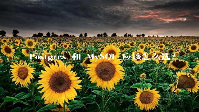 Postgres 和 MySQL 应该怎么选？