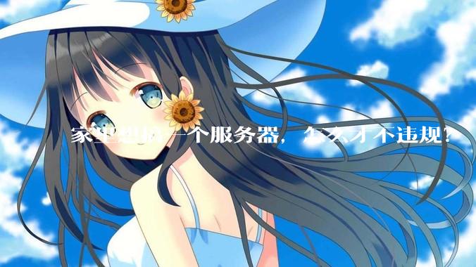 家里想搞一个服务器，怎么才不违规？