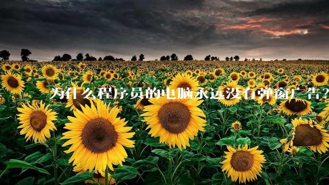为什么程序员的电脑永远没有弹窗广告？